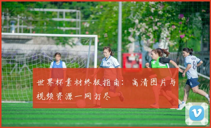 世界杯素材终极指南：高清图片与视频资源一网打尽