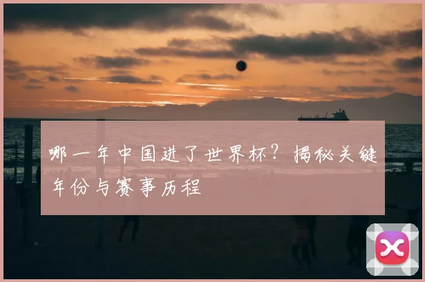 哪一年中国进了世界杯？揭秘关键年份与赛事历程